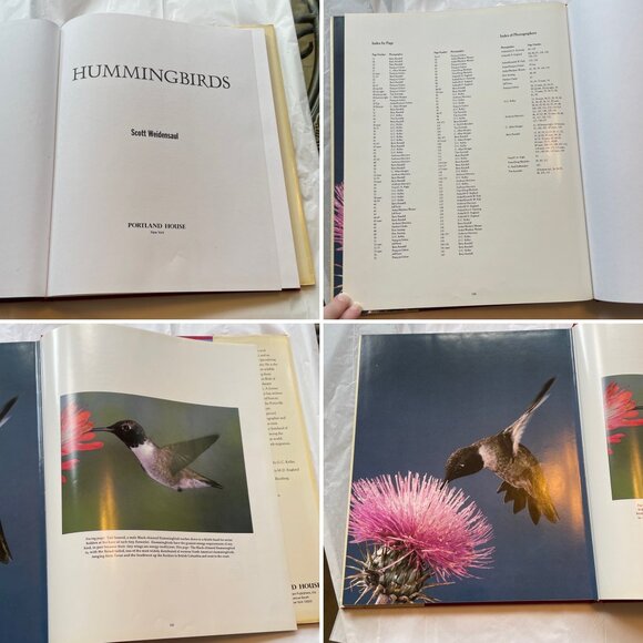 Hummingbirds Photographs Book by Scott Weidensaul - Picture 7 of 12